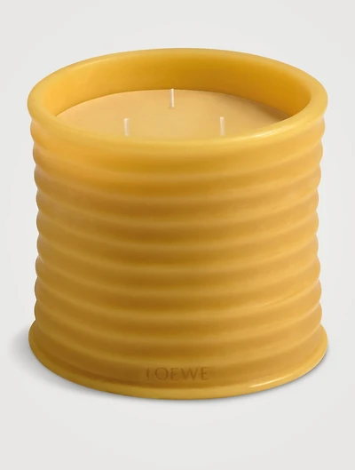 Honey Beeswax Medium Candle