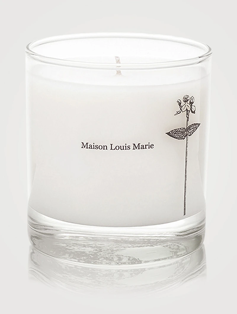 Antidris Cassis Candle