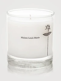 Antidris Cassis Candle