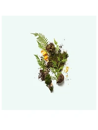The Botanist Deodorant Stick