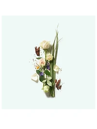 Third Rose Deodorant Stick
