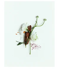 Third Rose Body Wash