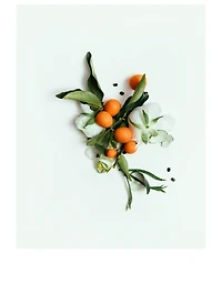 Neroli Cleansing Bar