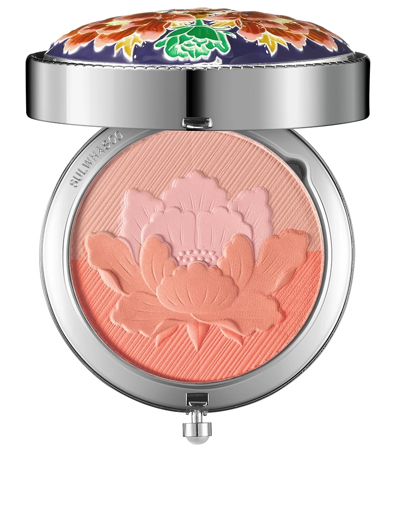 ShineClassic Multi Powder Compact