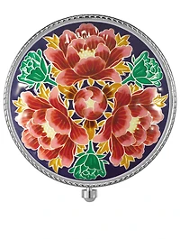 ShineClassic Multi Powder Compact