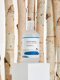 Birch Juice Moisturizing Toner