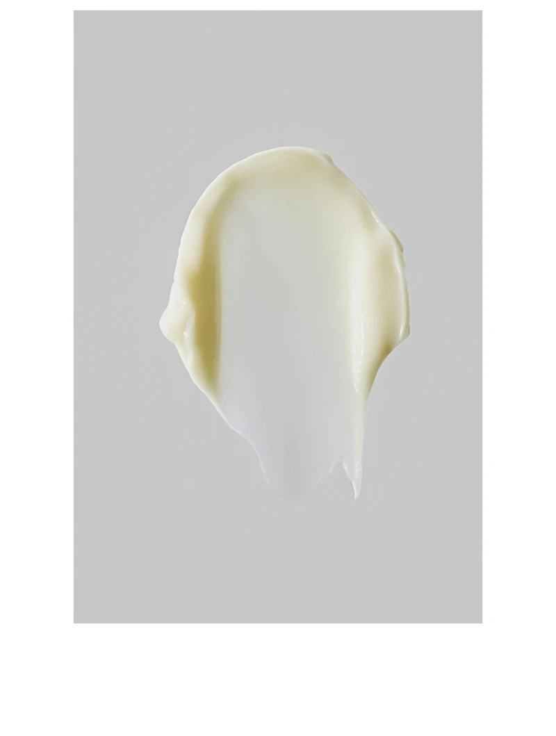 Renewing Night Cream