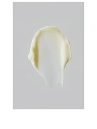 Renewing Night Cream