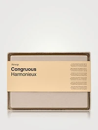Congruous Elaborate Body Kit