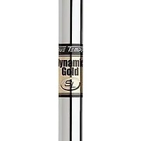 Dynamic Gold SL .355T Steel Iron Shaft