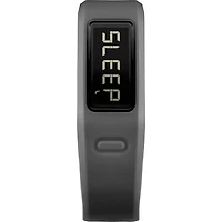 Vivofit Slate Fitness Band