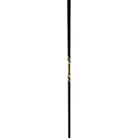 Dynamic Gold Tour Issue Onyx Steel Iron Shaft