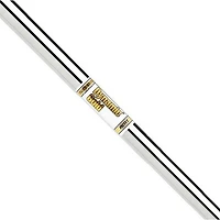Dynamic Gold AMT .355 Taper Tip Steel Iron Shaft