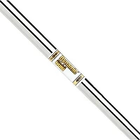 Dynamic Gold AMT X100 .355T Steel Iron Shaft