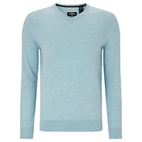 Men's Merino Solid V-Neck Sweater