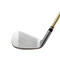 Beres Star SW Iron with Graphite Shaft