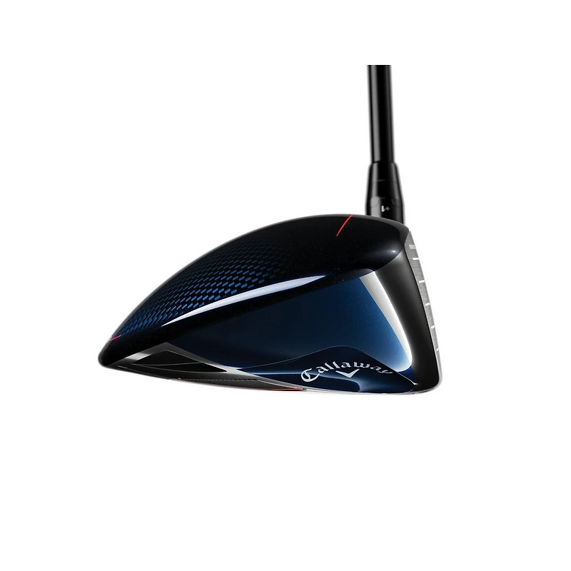Big Bertha B21 Driver