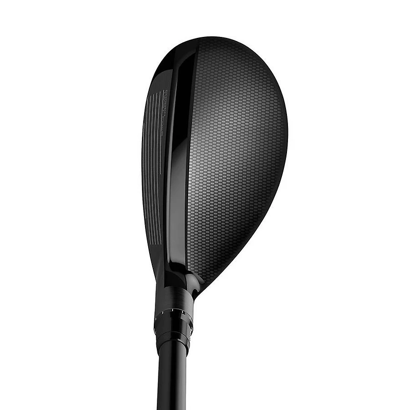 SIM2 Hybrid