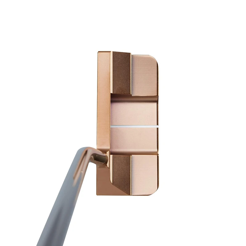 2021 Queen B 6 Putter with SINK Fit Standard Grip
