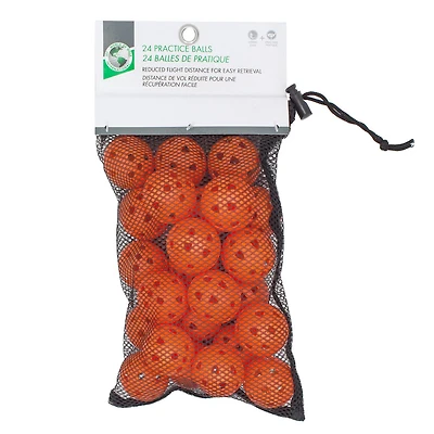 Whiffle Ball with Bag