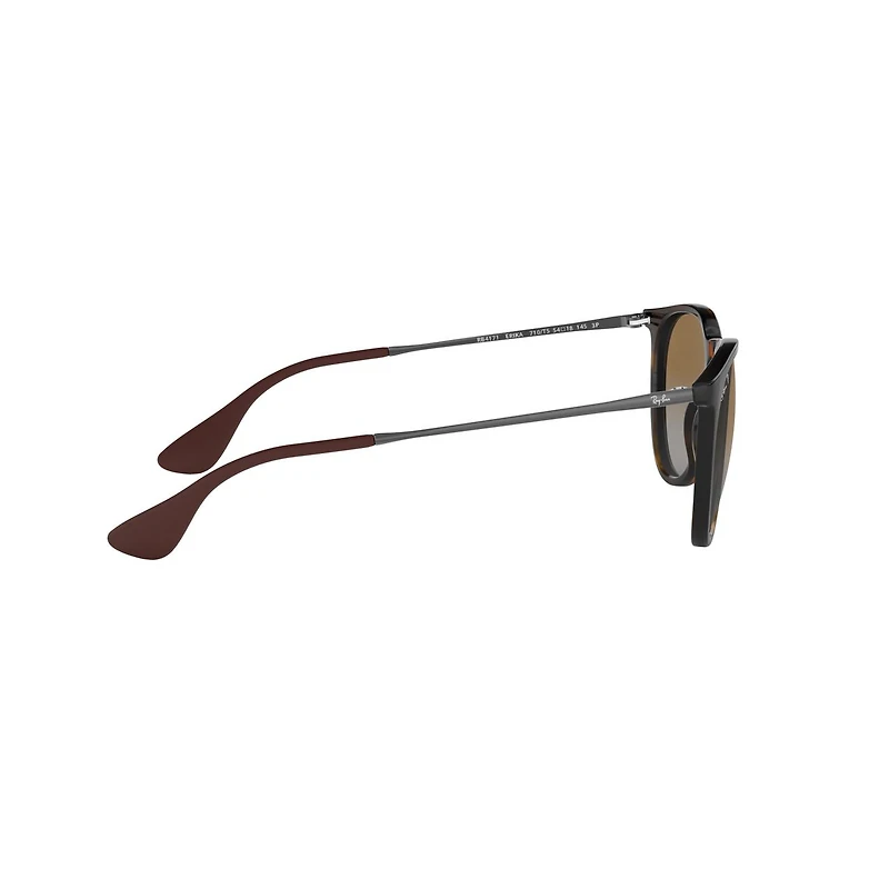 Erika Gradient Polarized Sunglasses