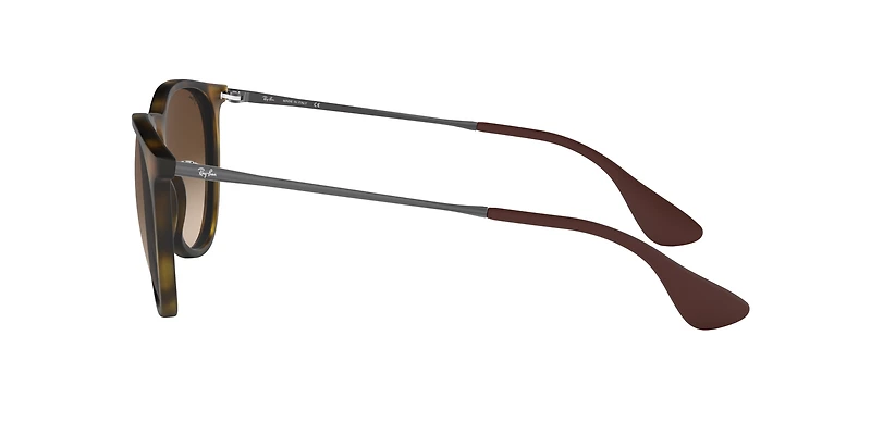 Erika Gradient Sunglasses