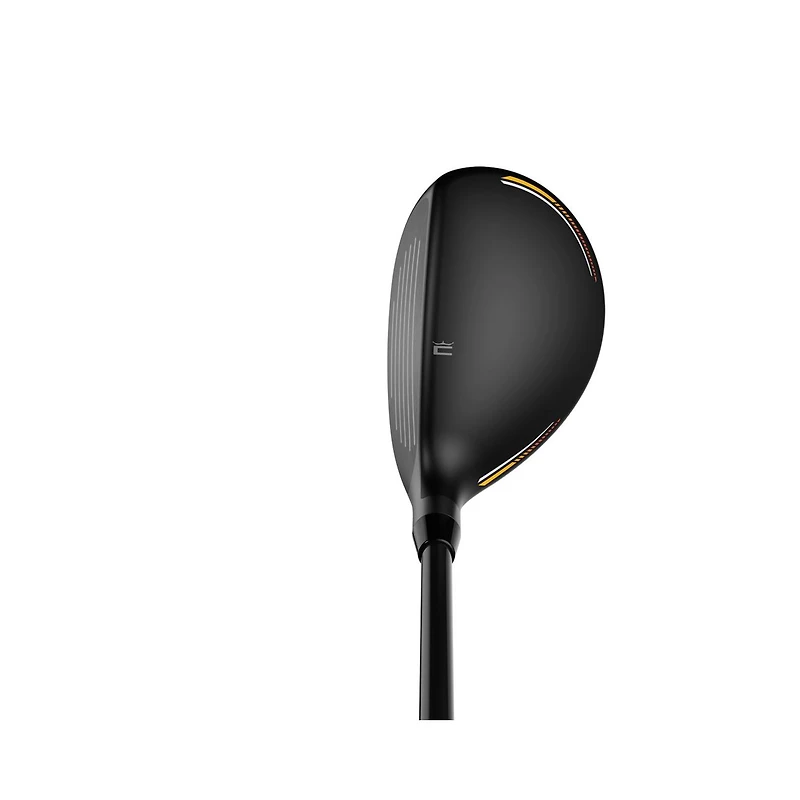 LTDx Black/Gold Hybrid