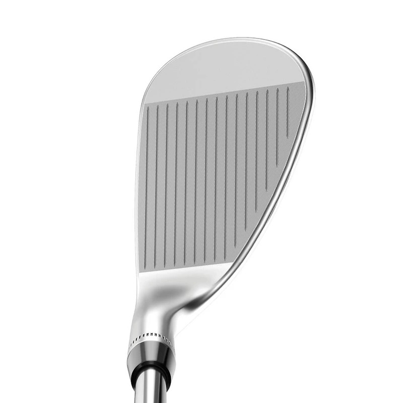 JAWS RAW Chrome Wedge with Graphite Shafts