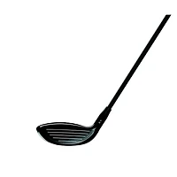 TSR2 Fairway