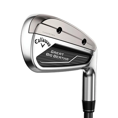 Great Big Bertha 23 5-PW AW Iron Set with Graphite Shafts