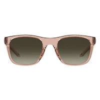 Unisex Raid Brown Havana/ Brown Sunglasses