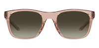 Unisex Raid Brown Havana/ Brown Sunglasses