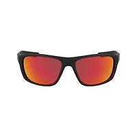 Lynk Sunglasses
