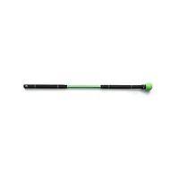 Swing Trainer System
