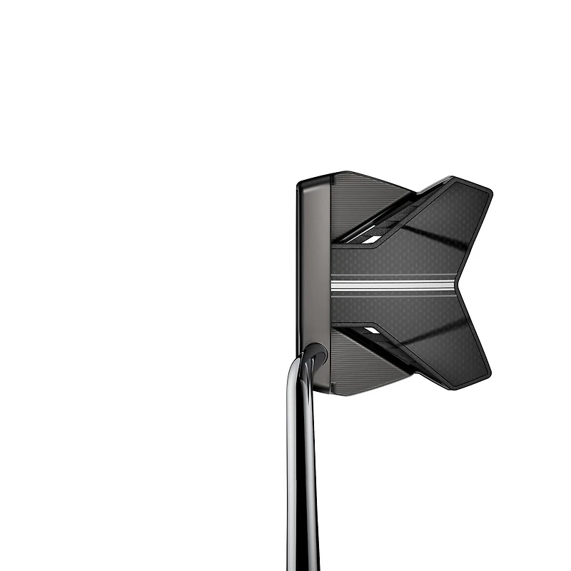 King 3D Printed 2024 AGERA-RS Putter