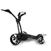 Ai 500 Electric Cart