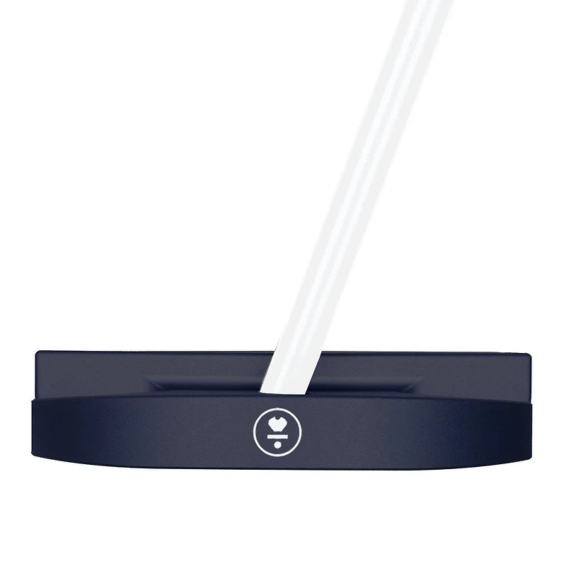 DF 3 Counterbalance Putter with Accra Shaft