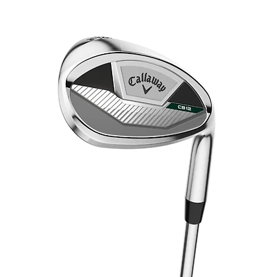 CB12 Wedge with Graphite Shafts