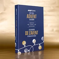 Advent Calendar - 24 Unique Golf Balls