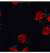 The Velvet Rose Legging