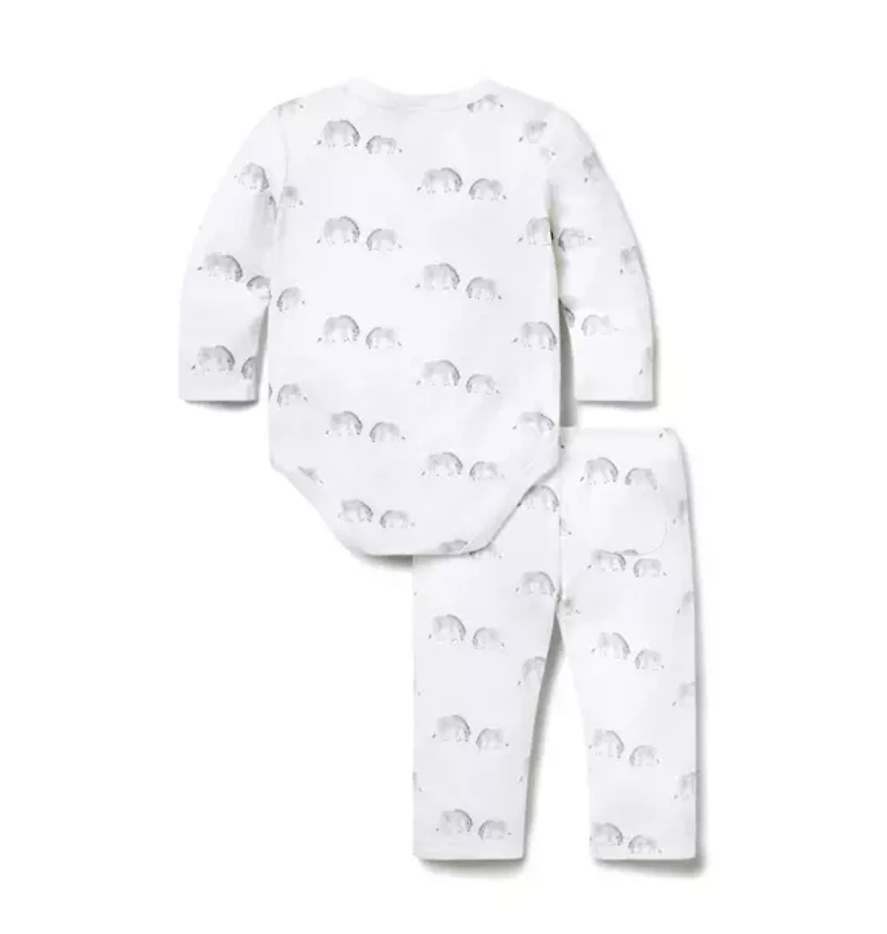 Baby Zebra Wrap Matching Set