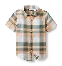 The Plaid Shirt
