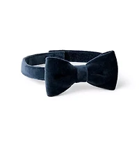 Velvet Bowtie