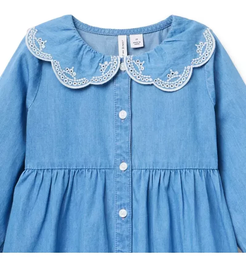 Chambray Embroidered Collar Dress