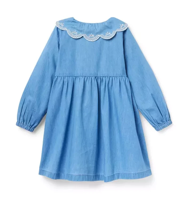 Chambray Embroidered Collar Dress