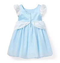 Disney Cinderella Dress