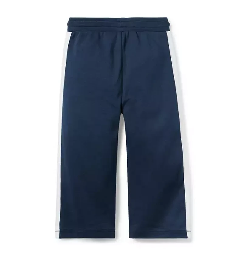 The Stripe Wide Leg Ponte Pant