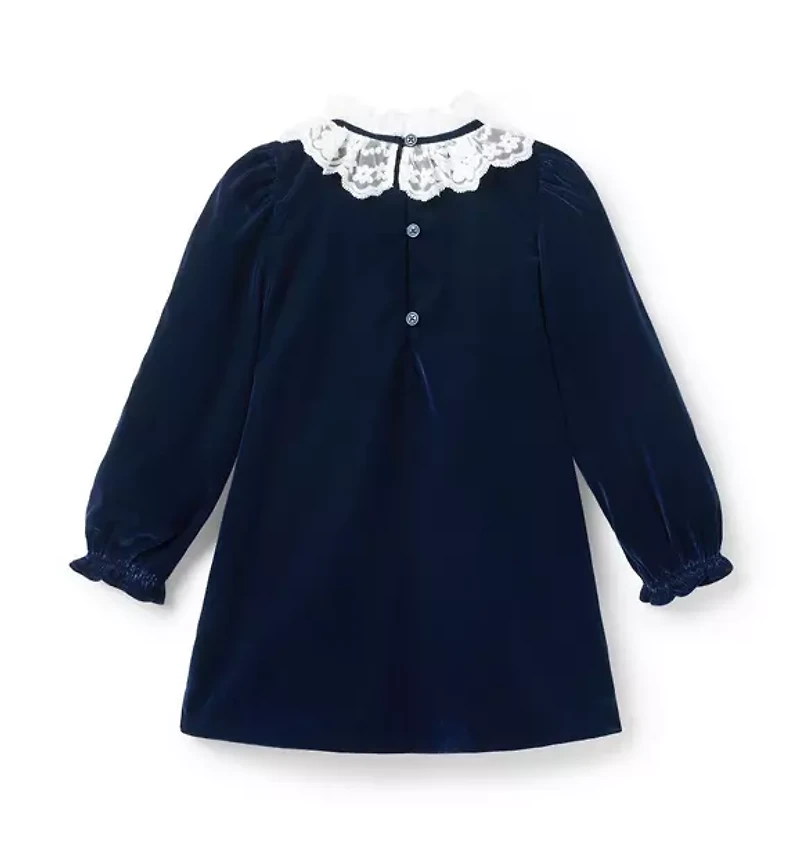 The Velvet Lace Collar Dress