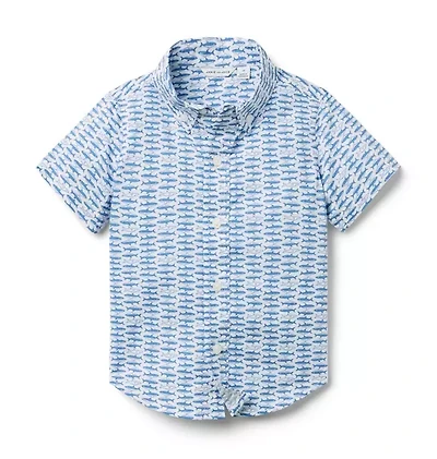 The Poplin Shirt
