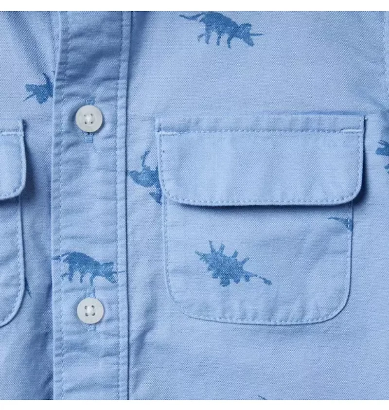 The Dinosaur Safari Shirt